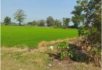 ขายที่ดินเปล่า
